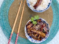 Spicy Chinese Eggplant with Garlic Recipe